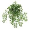 15" Artificial Maidenhair Ferns - Set of 12, Lush Greenery, Indoor/Outdoor Decor, Perfect for Homes, Offices, Events - Year-Round Decorative Accent, Floral Home by Artificial Flowers